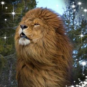 Meet your Posher, Wayne